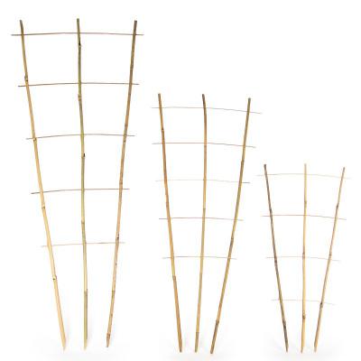 Bambus-Rankgitter 85 cm
