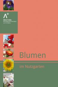 Abtei Fulda: Blumen im Nutzgarten