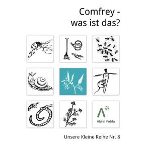 Abtei Fulda: Comfrey - was ist das?