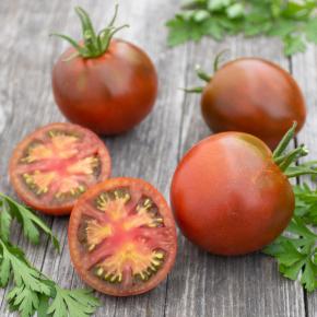 Tomate Russische Schwarze Pflanze