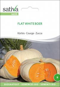 Speisekürbis Flat White Boer