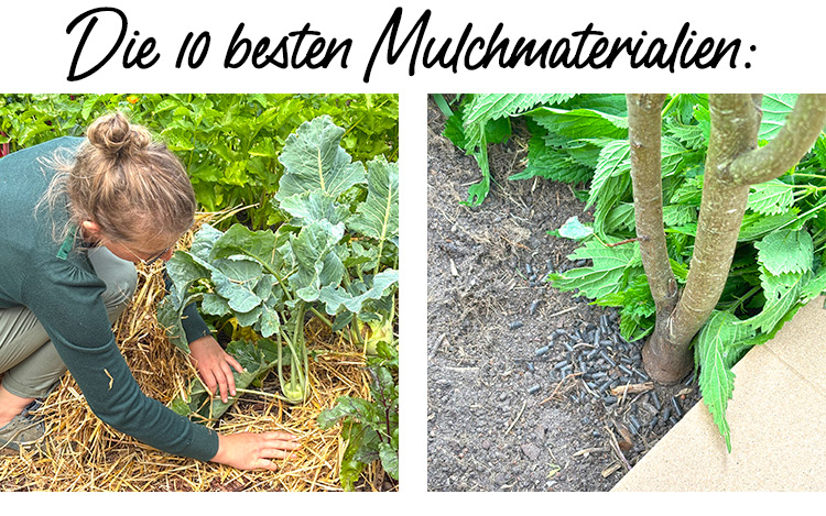 Die 10 besten Mulchmaterialien
