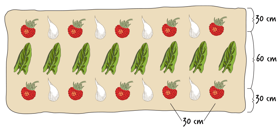 erdbeerbeet mischkultur spinat.gif