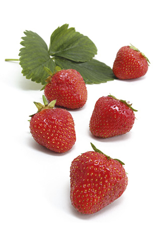 erdbeeren pflanzzeit im august hof jeebel