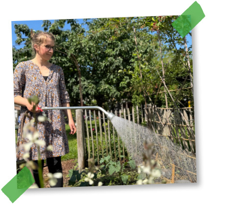 Ein grüner Garten mit geringem Wasserverbrauch
