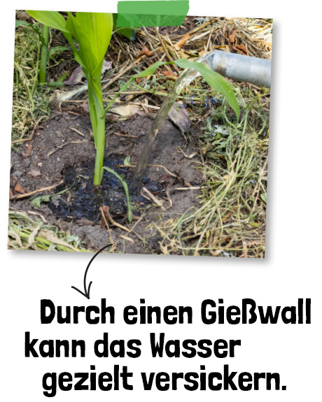 Tiefgreifend wässern