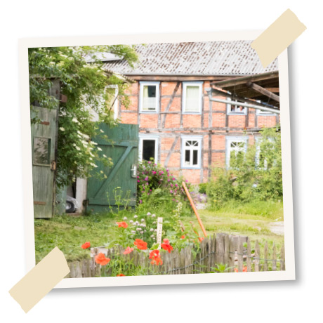 sommer sonne juli geniessen