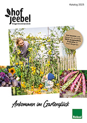 Katalog Hof Jeebel