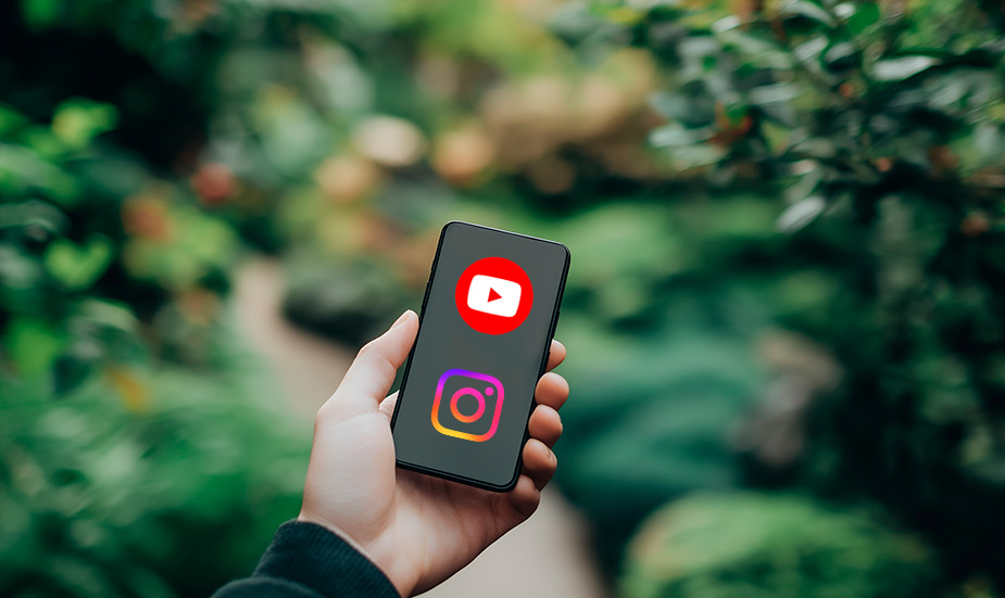Job Social Media Managerin