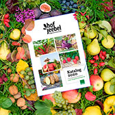 katalog hof jeebel 2020 biogartenversand