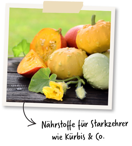 aussaat im oktober 2022