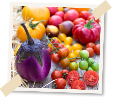 september aussaatkalender