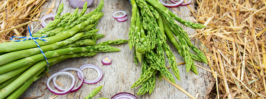 spargelpflanzen gruenspargel pflanzanleitung