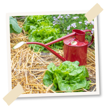 wasserverbrauch im garten giessen