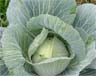 Kohl