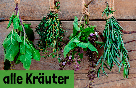 Alle Kräuter