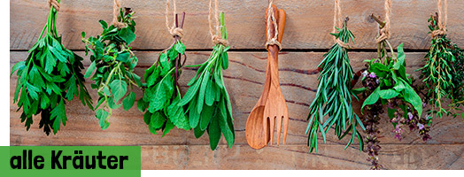 Alle Kräuter