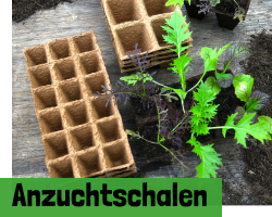 Anzuchtschalen