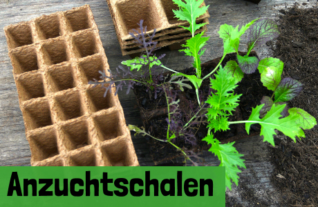 Anzuchtschalen