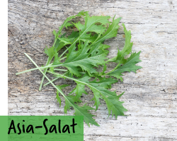 Asia Salat
