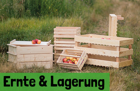 Ernte & Lagerung
