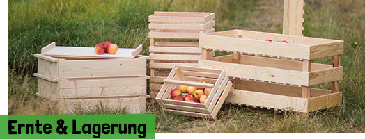 Ernte & Lagerung