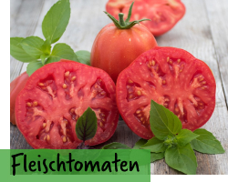 Fleischtomaten