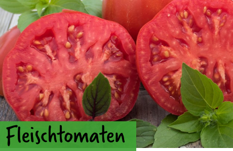 Fleischtomaten