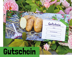 Gutscheine