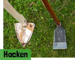 Hacken