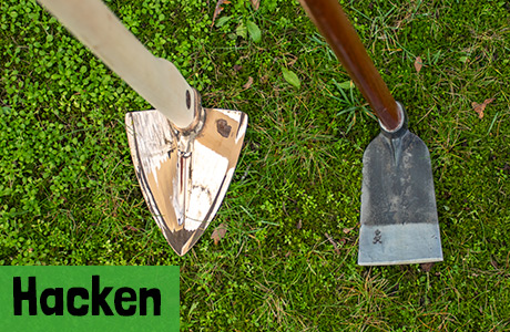 Hacken