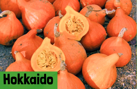 Hokkaidokürbis