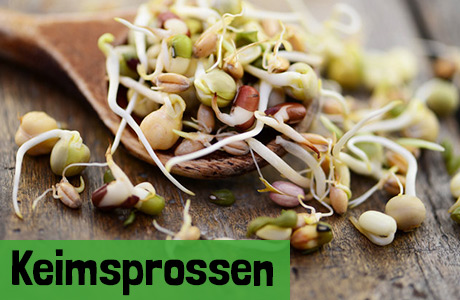 Keimsprossen