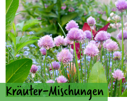 Kräuter-Mischungen
