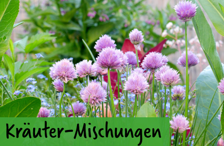 Kräuter-Mischungen