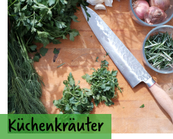 Küchenkräuter-Samen