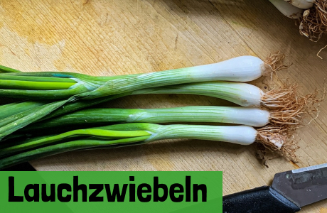 Lauchzwiebeln