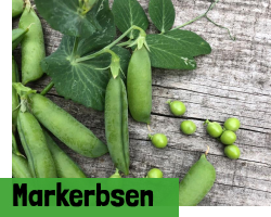 Markerbsen