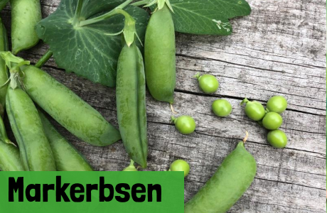 Markerbsen