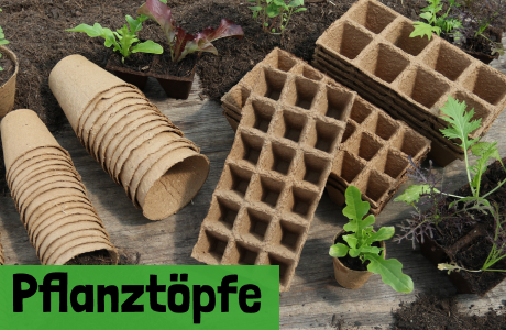 Pflanztöpfe