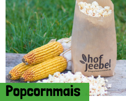 Popcornmais