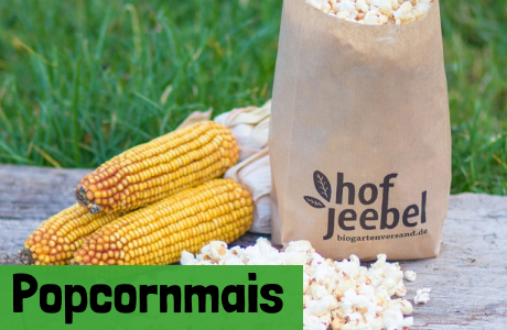 Popcornmais