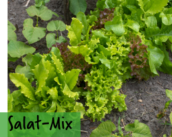 Salat Mischungen