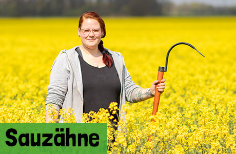 Sauzähne