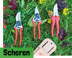 Scheren