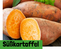 Süßkartoffel-Pflanzen