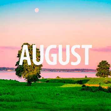 Aussaatkalender für August 2022