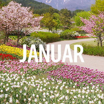 Aussaatkalender für Januar 2022