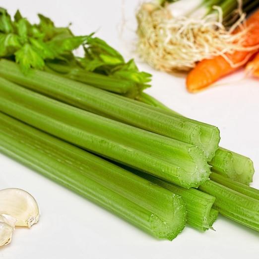 Stangensellerie<br>Tango<br>Pflanze