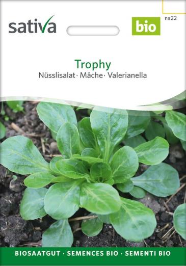 Feldsalat<br>Trophy
